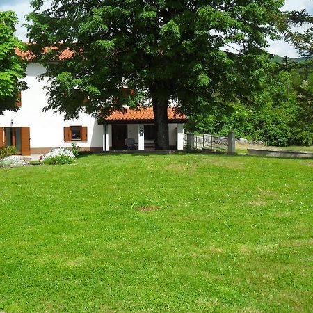 Apartmani Bartulasi Roč 客房 照片